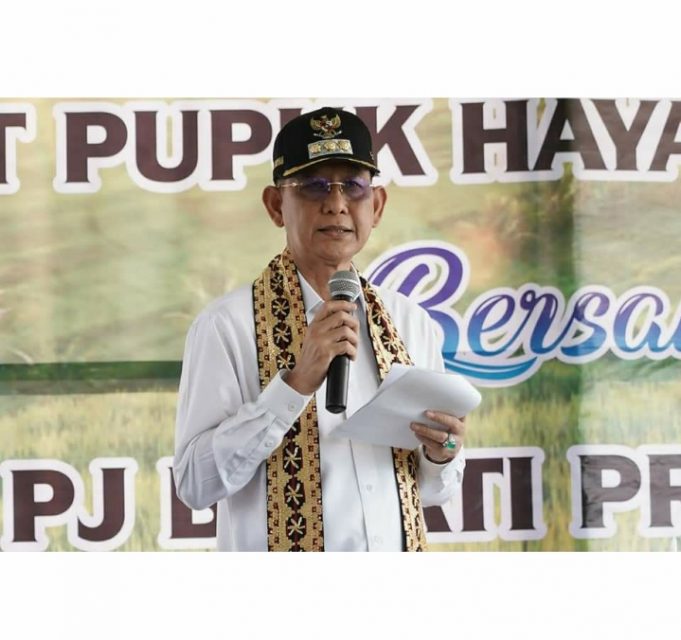 Penjabat Bupati Pringsewu Adi Erlansyah Panen Raya Perdana Di Ambarawa ...