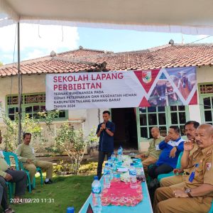 IMG-20240221-WA0030